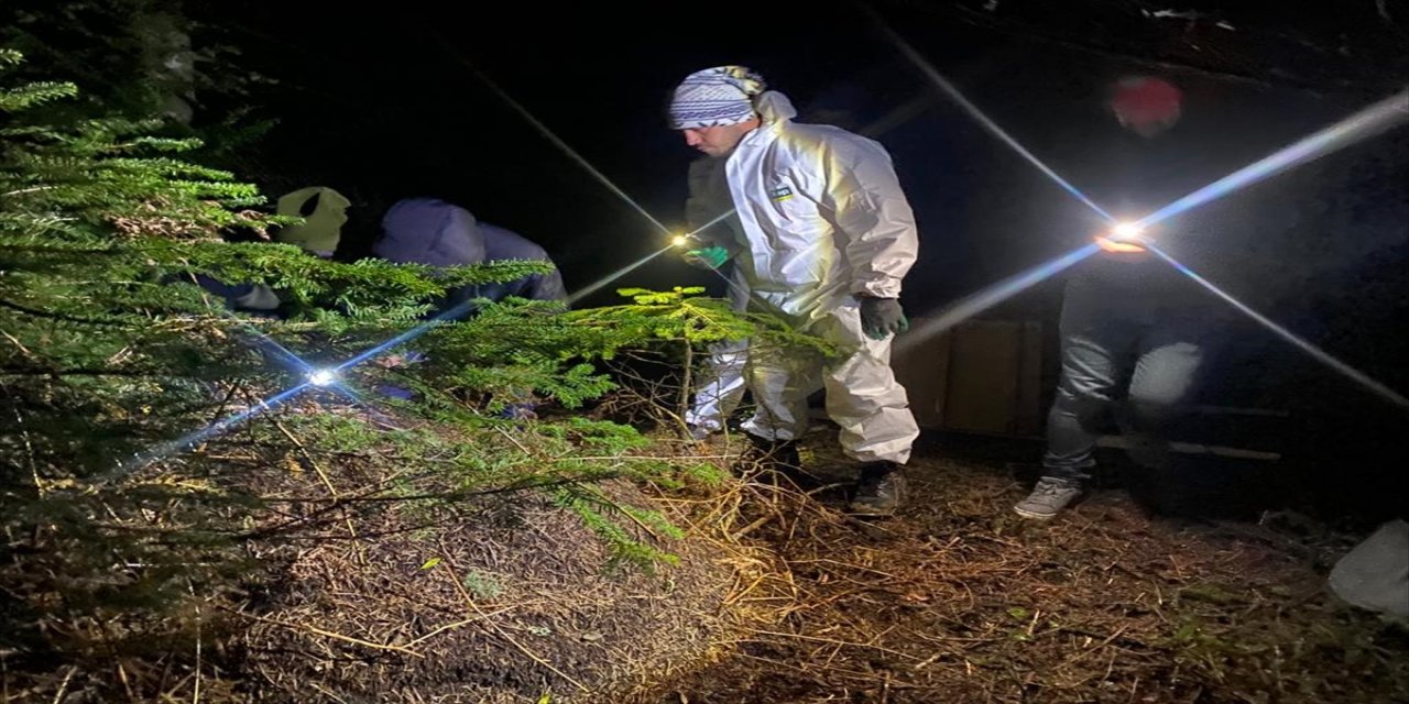 "Dumansız yangın"a karşı biyolojik önlem alınıyor