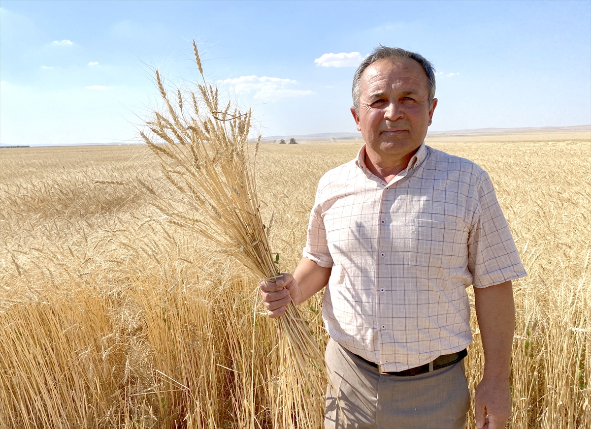 İç Anadolu'ya uygun alternatif hububat çeşitleri Malya'da deneniyor