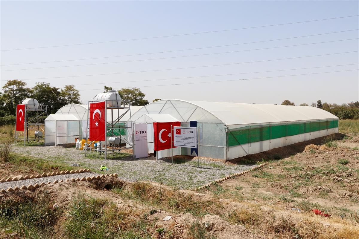 TİKA'dan Afganistan'da tarıma destek