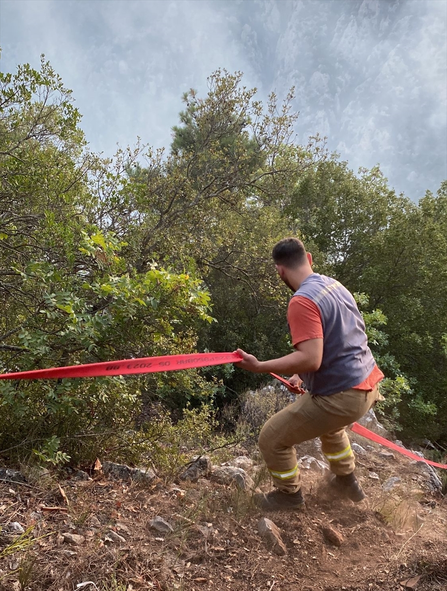 Bilecik'te yıldırım isabet etmesi sonucu orman yangını