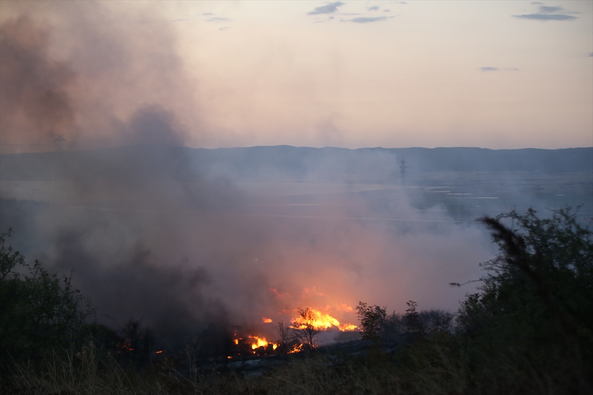 Gelibolu'da zirai alanda çıkan yangın kısmen kontrol altına alındı