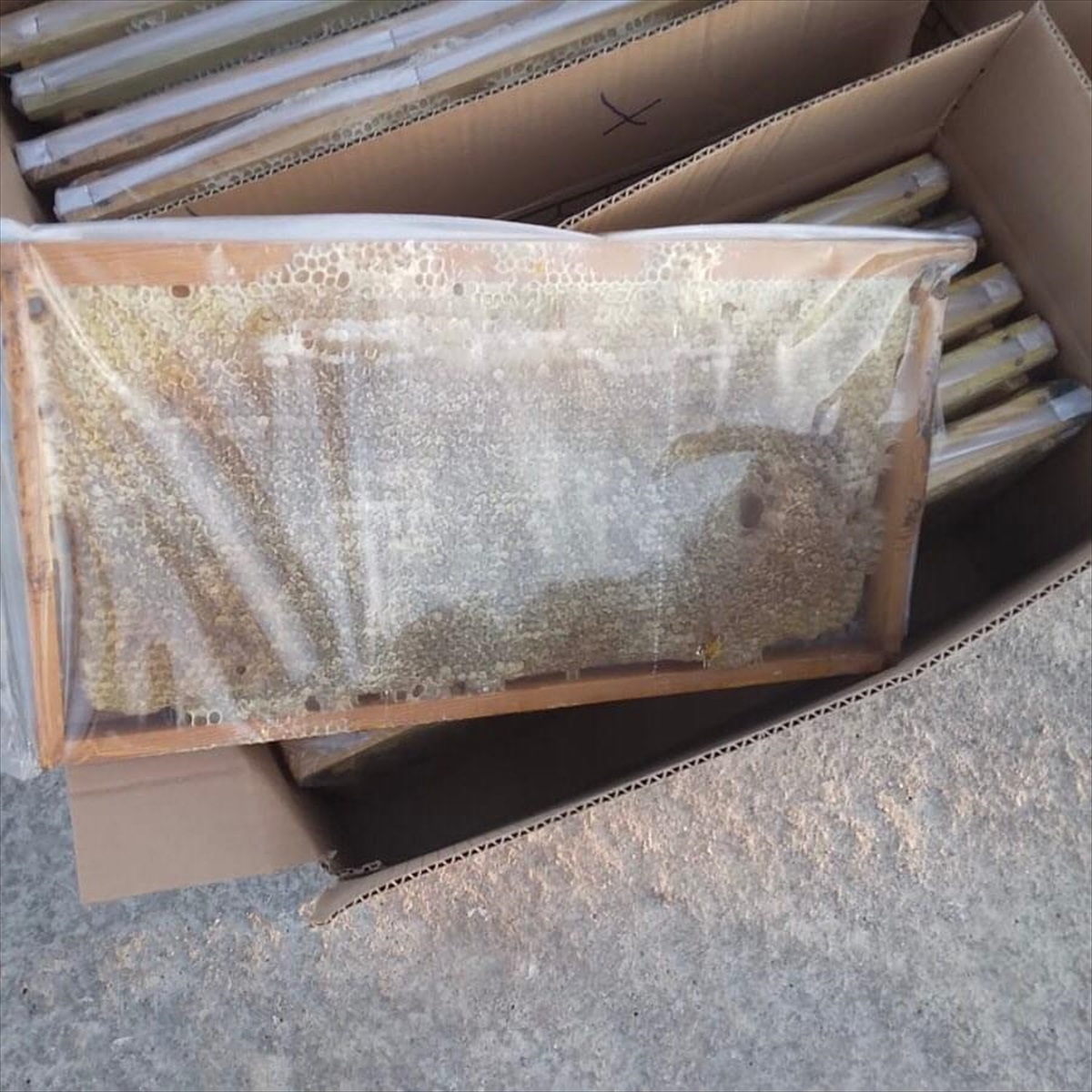 500 kilogram kaçak bal ele geçirildi