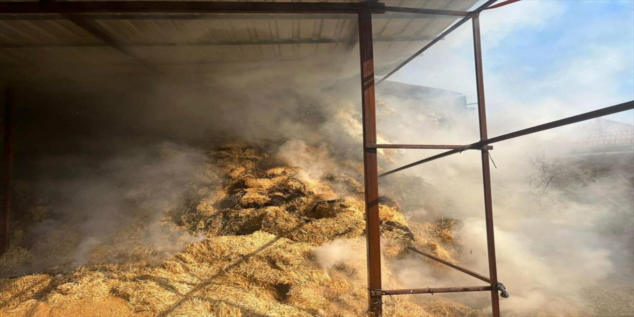 Uşak'ta çıkan yangında bir metruk ev ile saman ve buğday deposu yandı