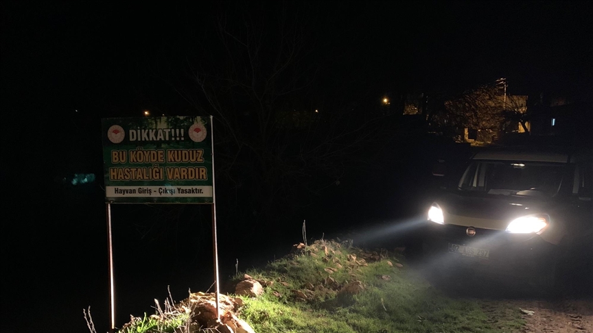 3 köy kuduz nedeniyle karantinaya alındı