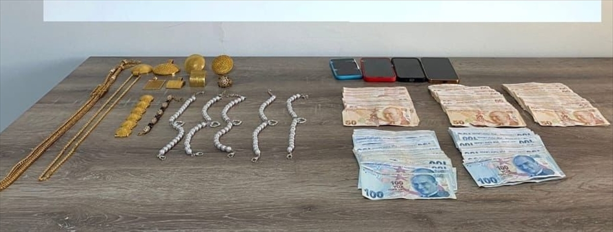 Bodrum'da silahlı yağma iddiasıyla gözaltına alınan 2 zanlı tutuklandı