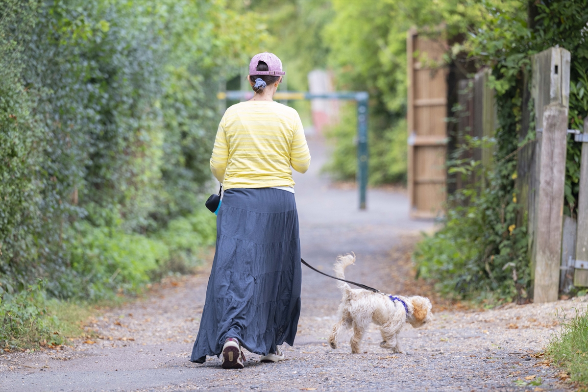 DOSYA HABER/AVRUPA'DA SAHİPSİZ HAYVANLAR - İsveç'in çözümü; zorunlu çipleme ve ömür boyu hizmet veren "köpek barınakları"