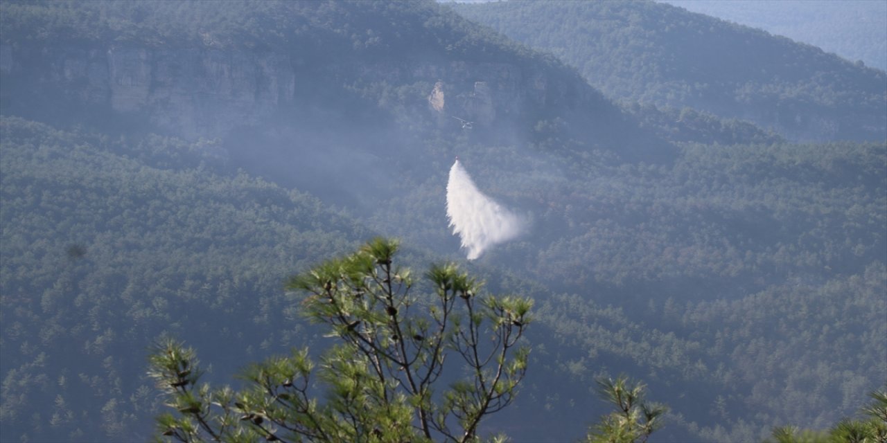 Karabük'te çıkan orman yangını kontrol altına alındı