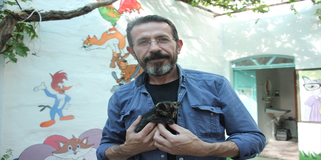 Kilisli hayvanseverler sahipsiz kediler için dernek kurdu