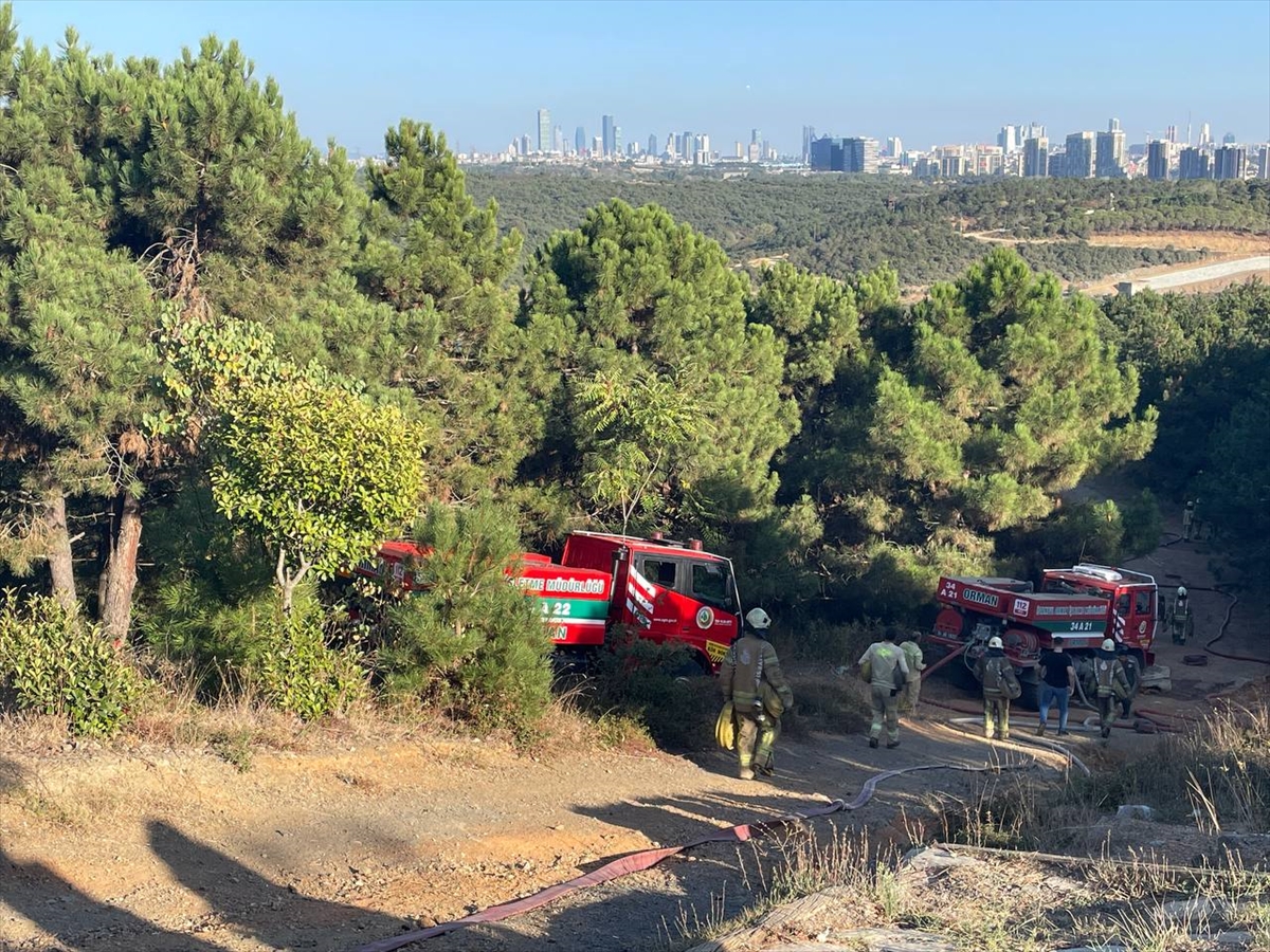 Sultangazi'de ormanlık alanda yangın çıktı