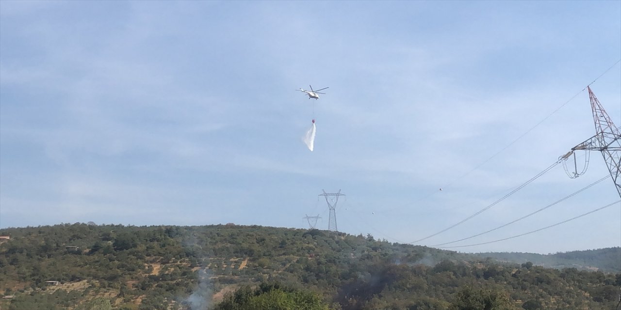Bursa'da tarım arazisinde çıkan yangın söndürüldü