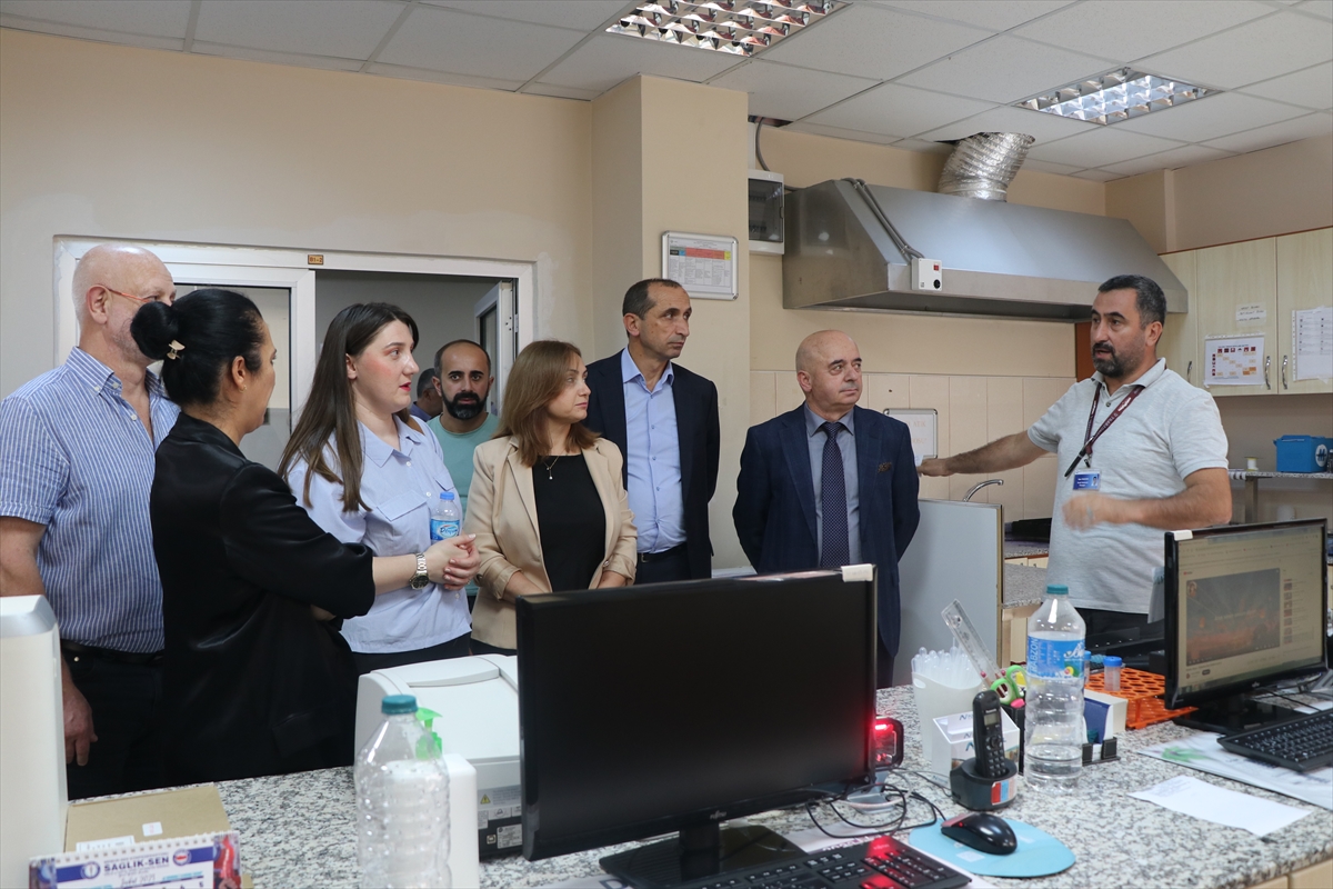 Sağlık turizminde Gürcistan'dan talep var