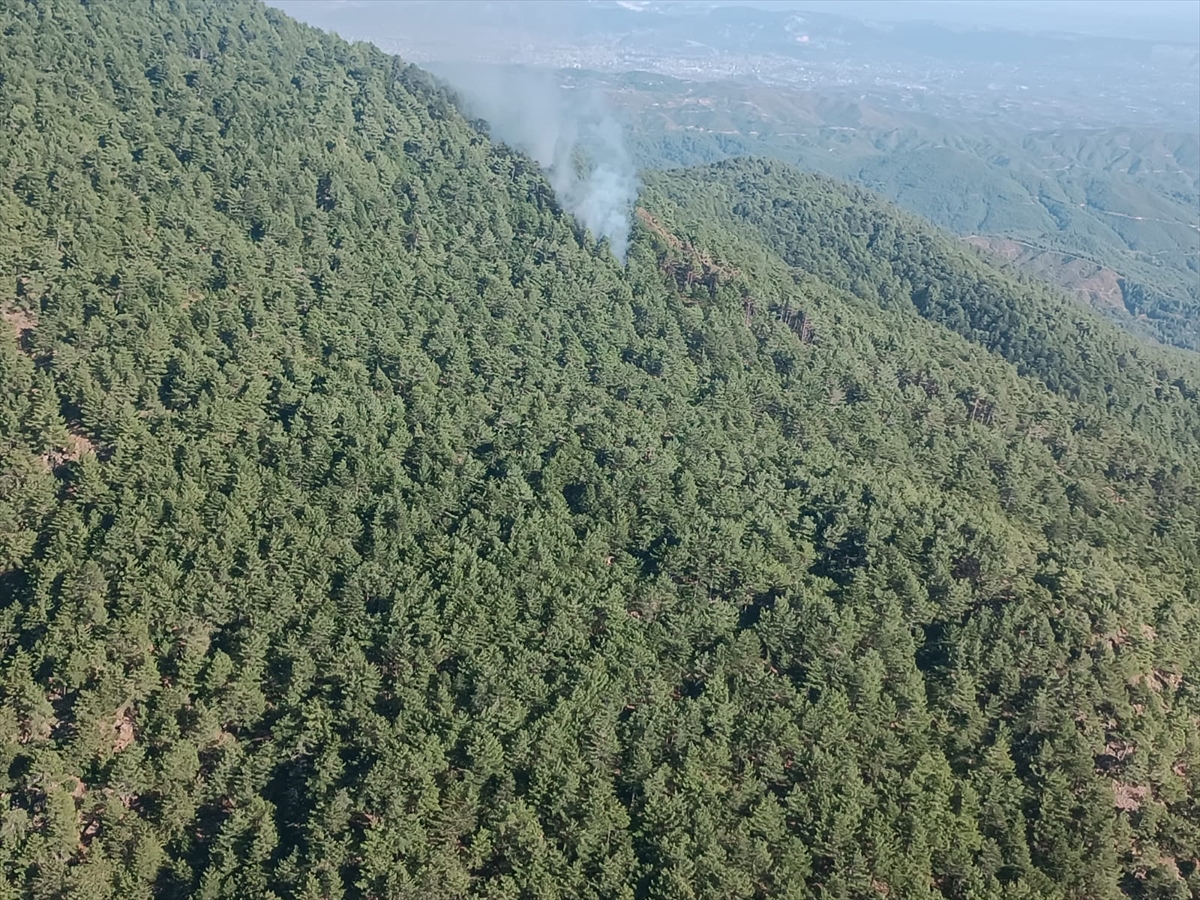 Hatay'da çıkan orman yangını kontrol altına alındı