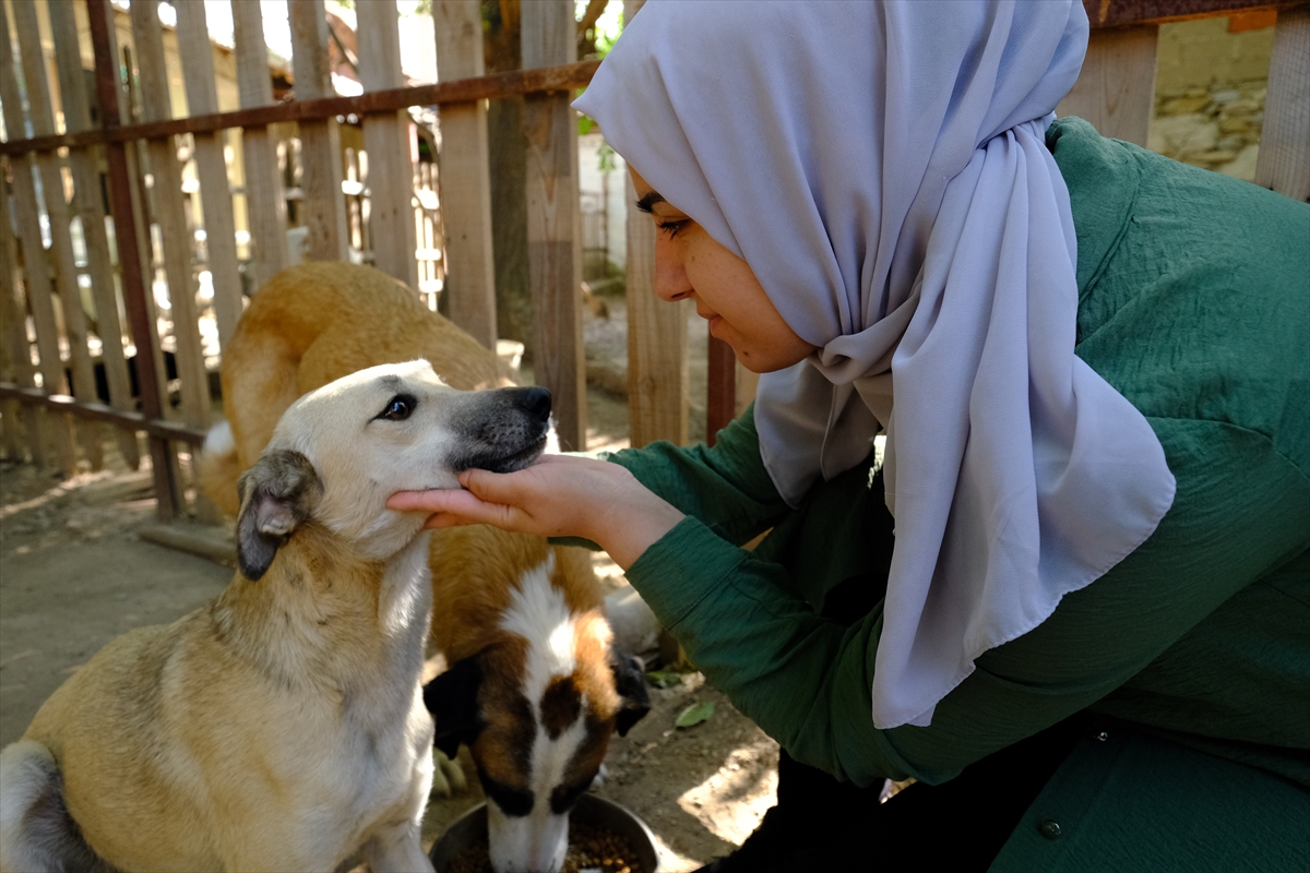 Üniversite öğrencisi evinin kapılarını sahipsiz hayvanlara açtı