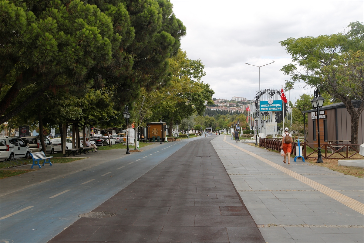 Şehir peyzajlarında doğal bitki kullanımı önerisi