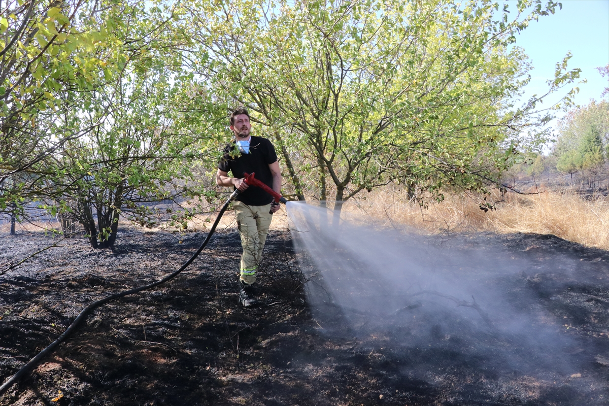 Edirne'de otoyol kenarındaki ağaçlık alanda çıkan yangın söndürüldü
