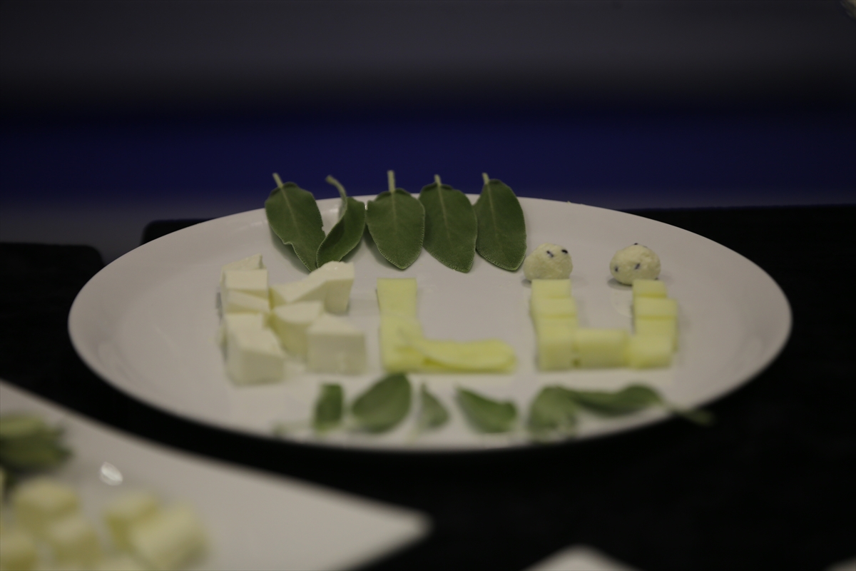 Kırklareli'nin süt ürünleri eğitimli ellerde lezzet bulacak