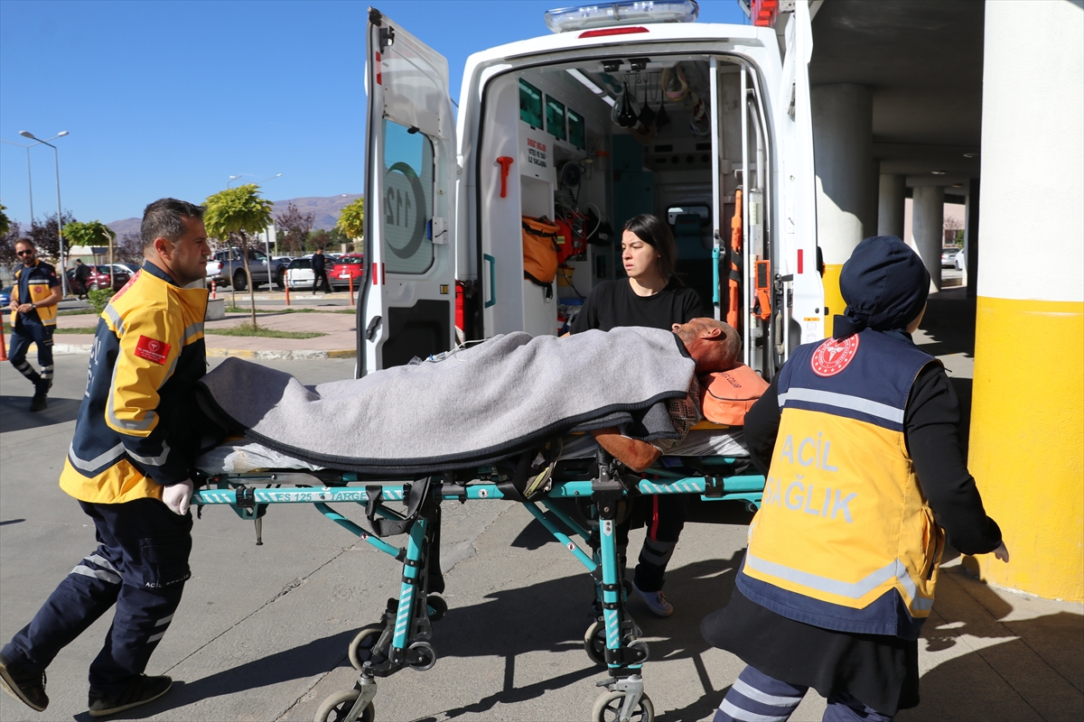 Erzincan'da ayının saldırdığı kişi yaralandı
