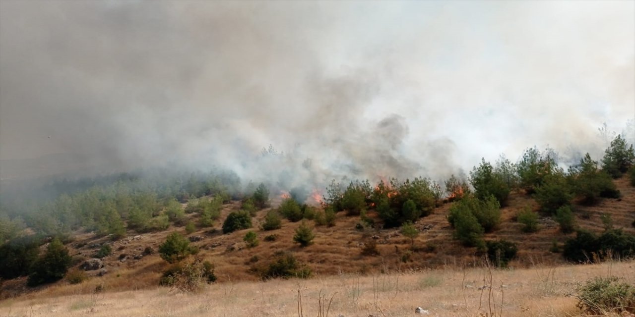 Kahramanmaraş'ta ormanlık alanda çıkan yangın söndürüldü