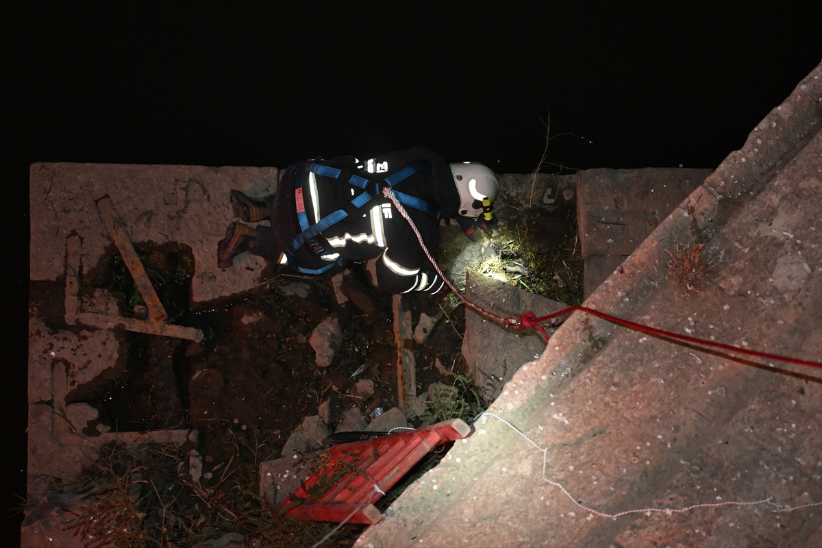 Mahsur kalan yavru kedi kurtarıldı