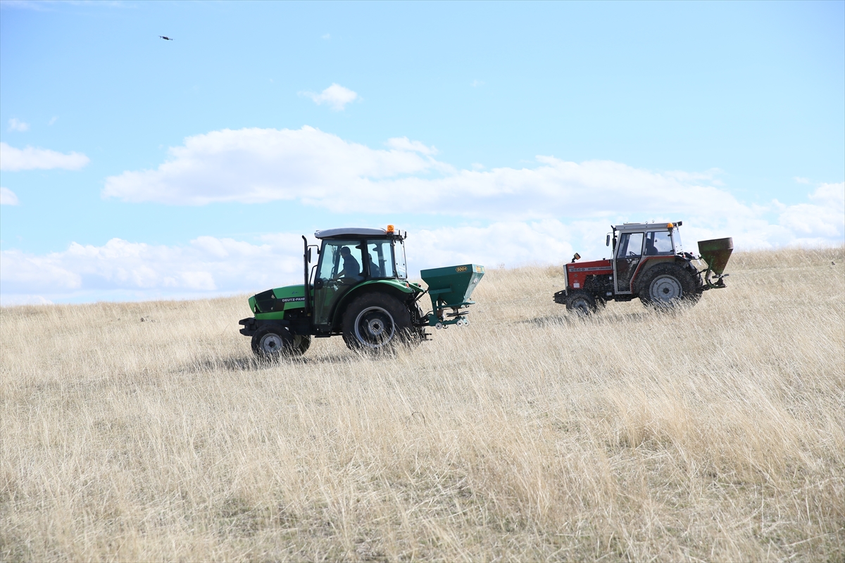 5 bin 800 dekarlık atıl mera ıslah edilerek hayvancılığa kazandırıldı