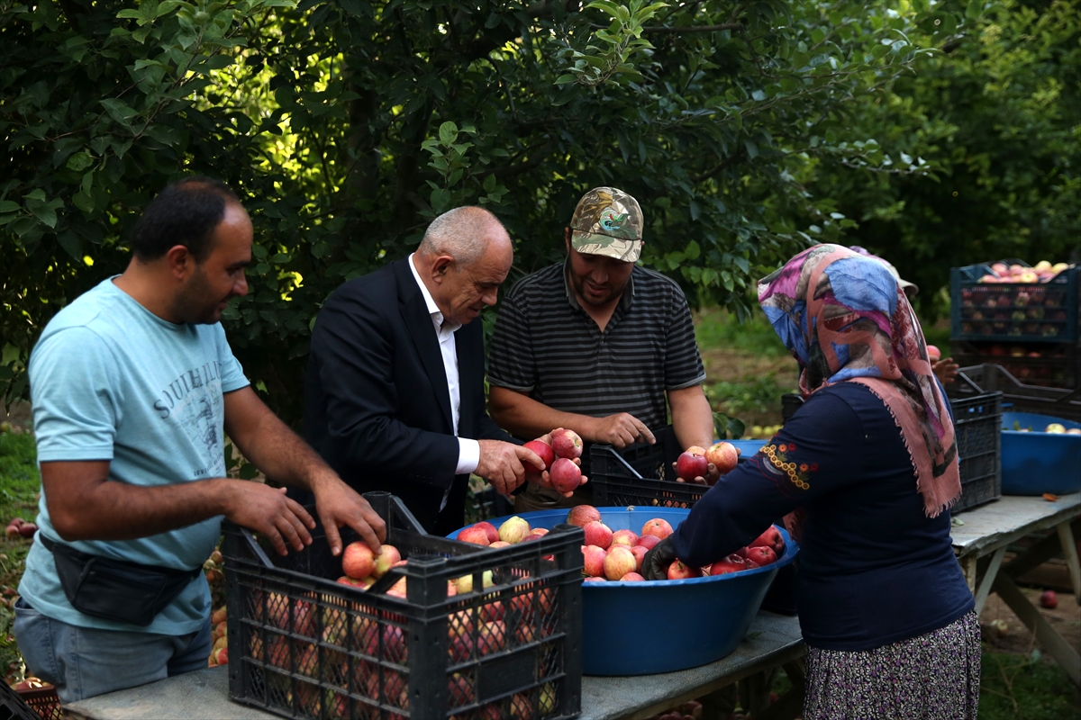 Kayseri'de 36 bin nüfuslu ilçeden 18 ülkeye elma ihracatı