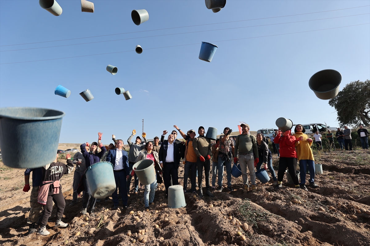 Nevşehir Valisi Ali Fidan, patates hasadında işçilerle "kova attı"