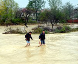 İnternet'ten dakika dakika doğal afet