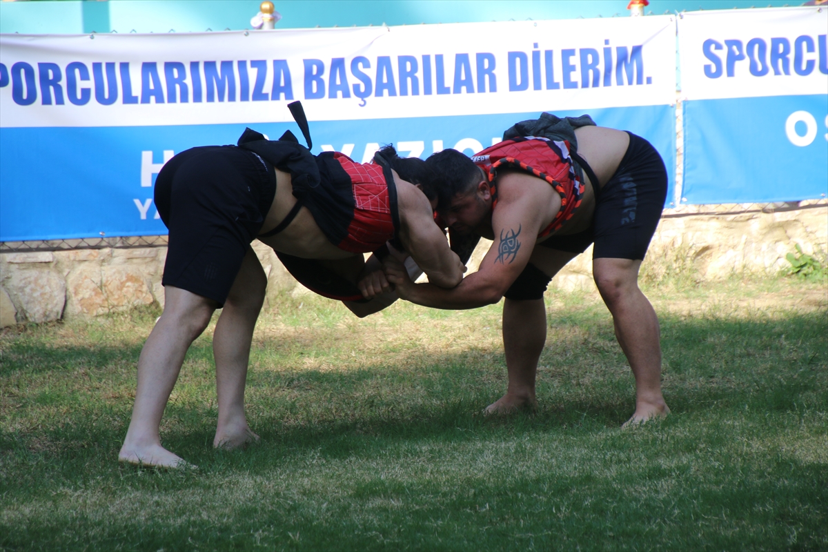 Hatay'da Türkiye Aba Güreşi Şampiyonası'nın başpehlivanı İbrahim Güleç oldu