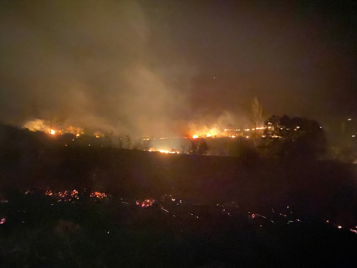 Balıkesir'in Kepsut ilçesinde çıkan orman yangınına müdahale ediliyor