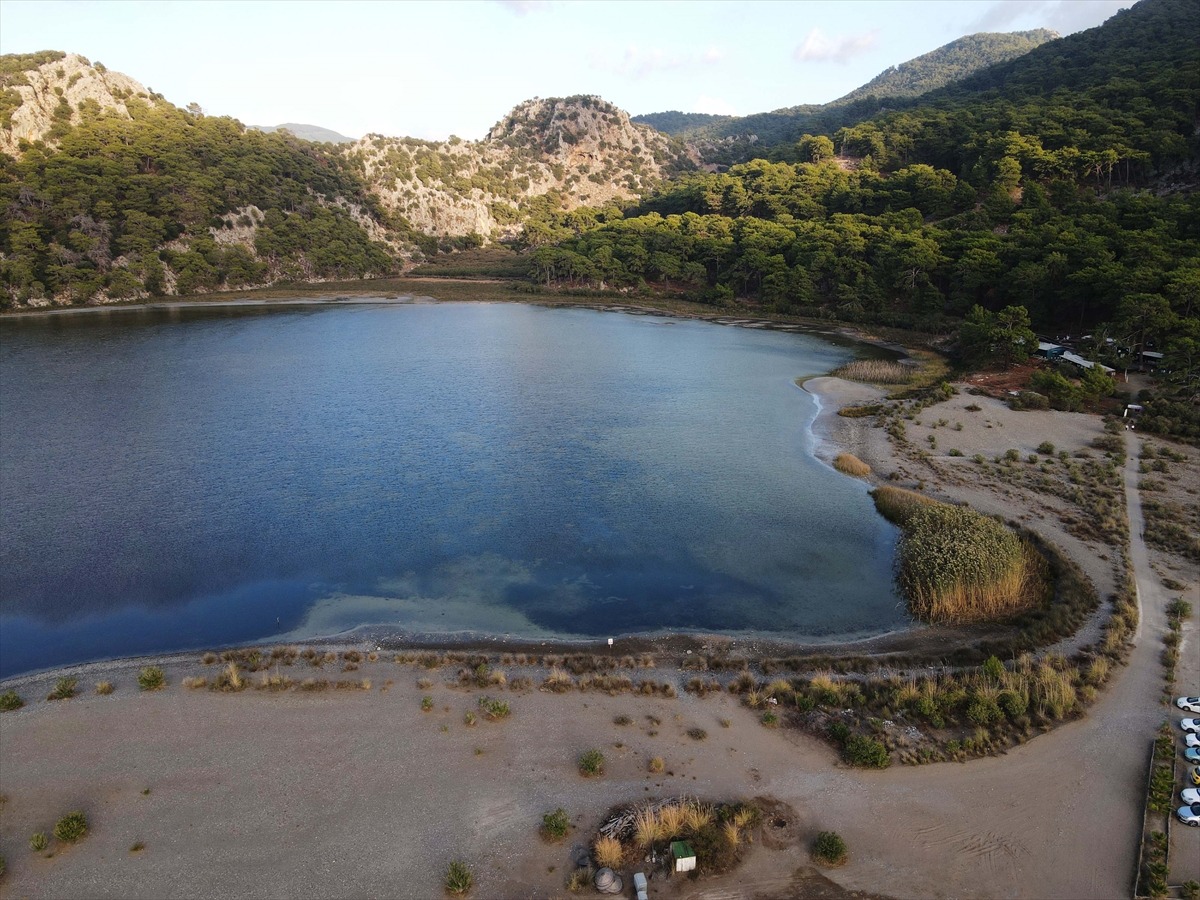 İztuzu sahilinde yaklaşık 35 bin caretta caretta mavi sularla buluştu