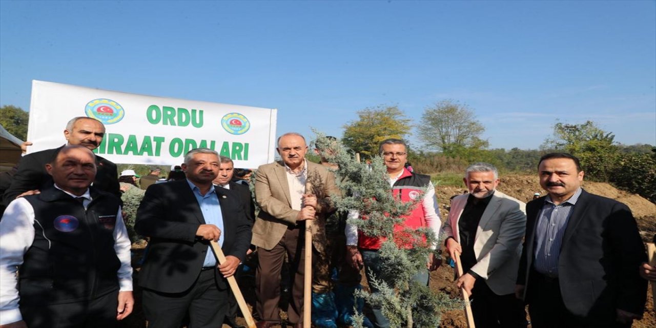 Karadeniz'de "Milli Ağaçlandırma Günü" kapsamında fidan dikildi