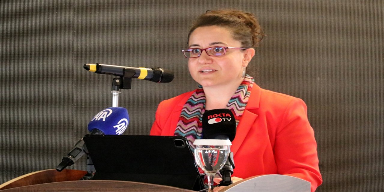 Kritik ve stratejik ham maddelerin önemi Kocaeli'deki çalıştayda masaya yatırıldı