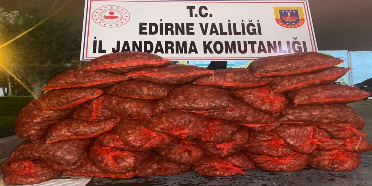 Edirne'de 600 kilogram kum midyesi ele geçirildi