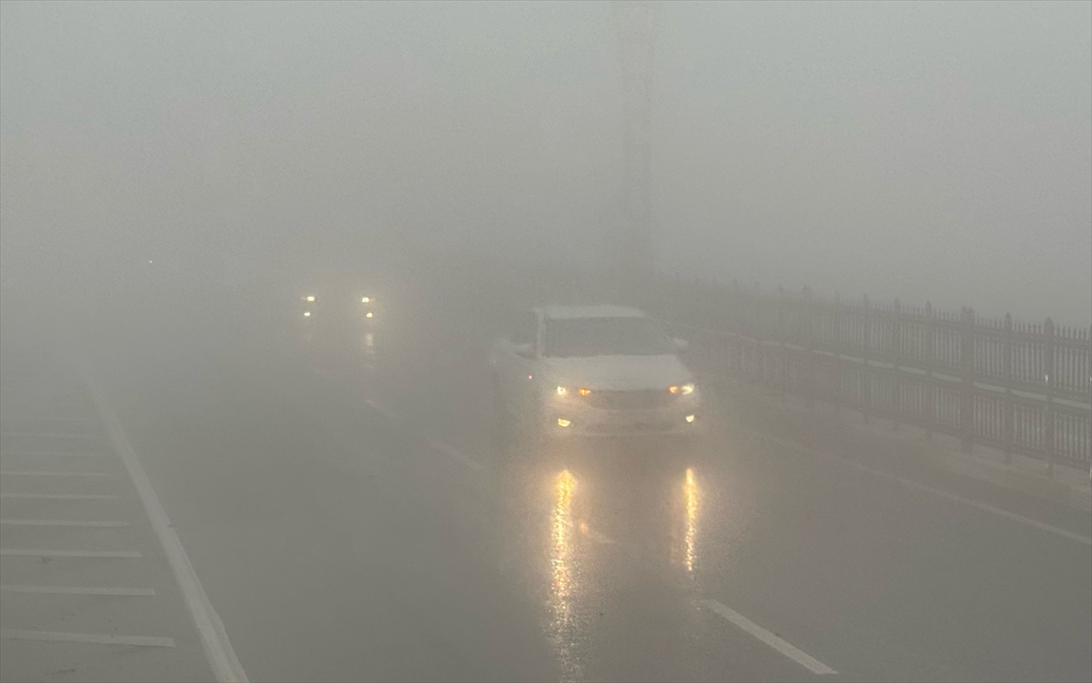 Nijerya'da aylardır süren aşırı yağışların neden olduğu sellerde ölü sayısı 321'e çıktı