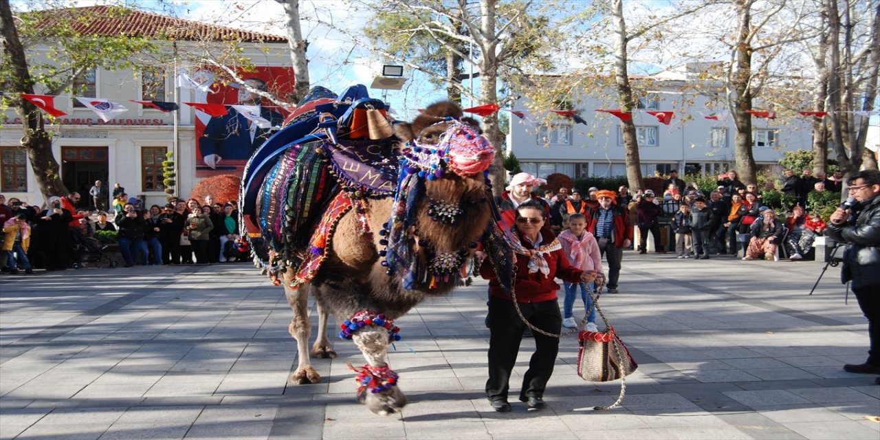 Çanakkale'de,  "En Güzel Deve Yarışması" düzenlendi, devlerin yarıştığı renkli bir gün yaşandı