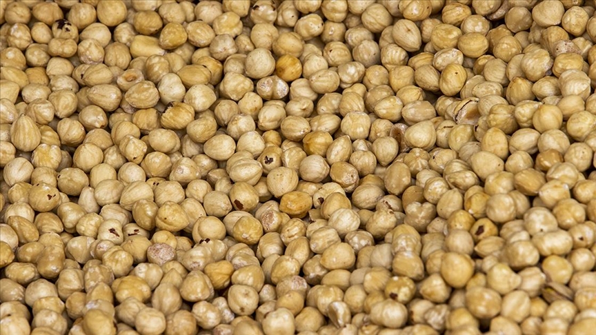 Trabzon 59 ülkeye fındık ihraç ediyor