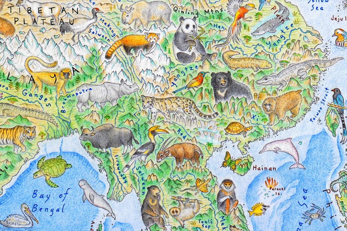 Yeni Zelandalı sanatçı vahşi hayvanları dünya haritası üzerinde 3 yılda resmetti