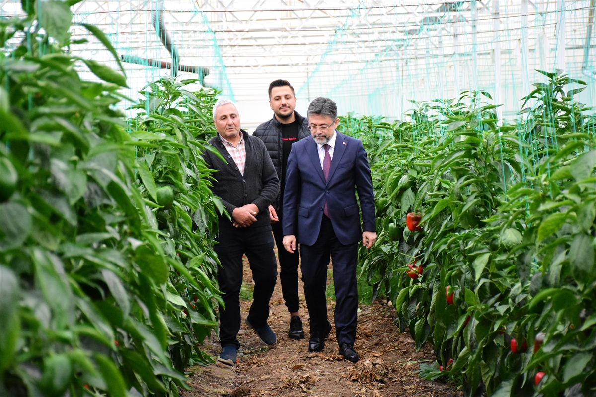 Türkiye'de kullanılan tohumların yüzde 97'sini ülkemizde üretiyoruz.