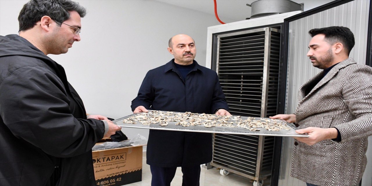 Samsun'da meyve sebze kurutma tesisi faaliyete başladı