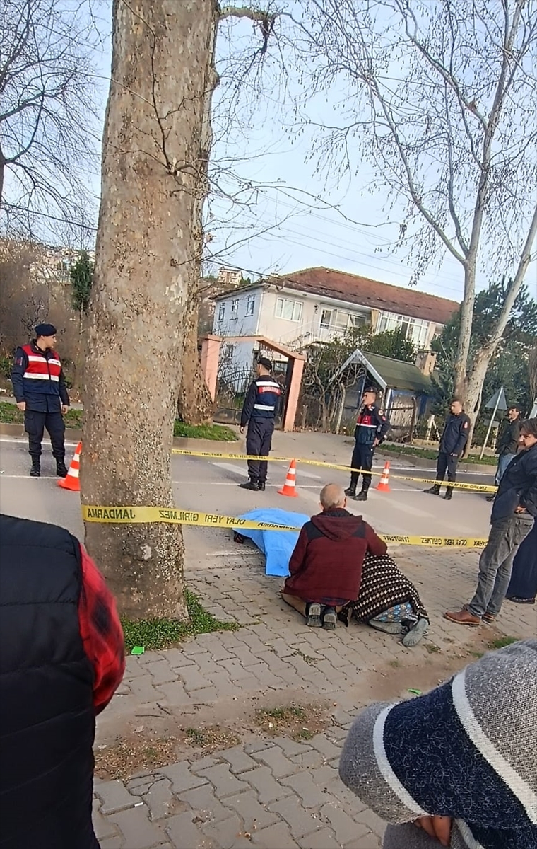 Yalova'da ağaca çarpan motosikletin sürücüsü öldü