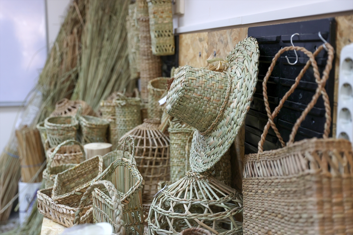 Kuş cennetindeki kamışlar dekoratif ürünlere dönüştürülüyor