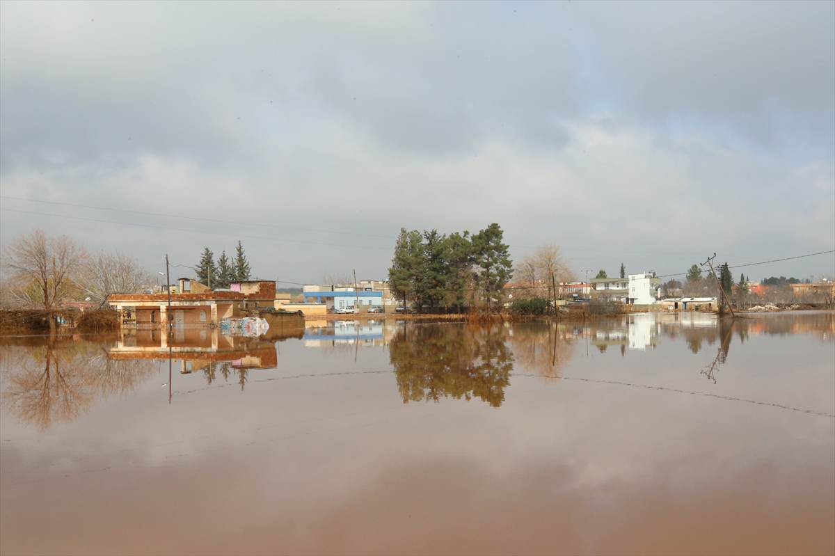 Şanlıurfa Valisi Şıldak sağanağın etkilediği bölgelerde
