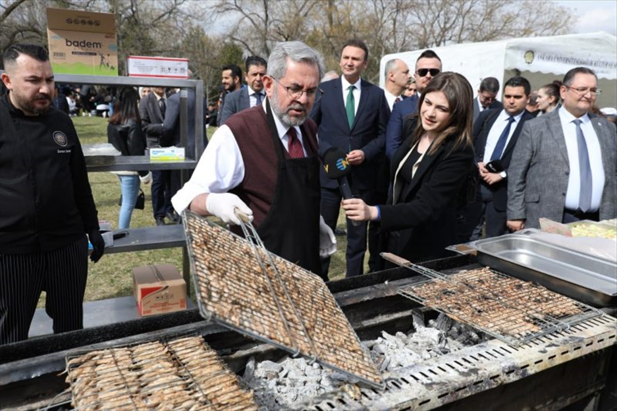 Ankara Üniversitesindeki "HAMSİFEST"te öğrencilere 1,5 ton hamsi ikram edildi