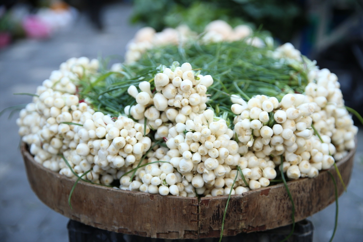 Tescilli "sakarca mıhlaması" Ordu'da sofraların vazgeçilmez lezzetleri arasında