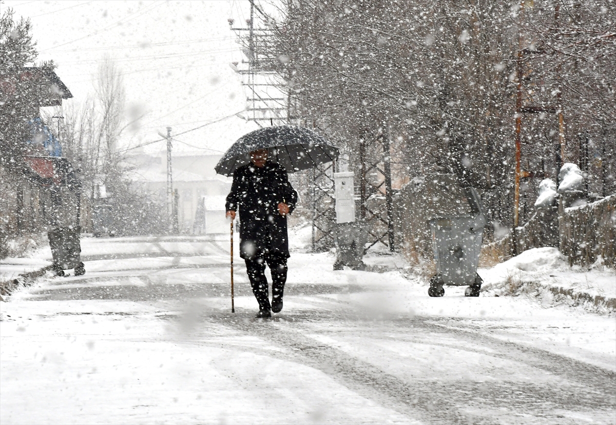 Kars ve Tunceli'de kar etkili oldu