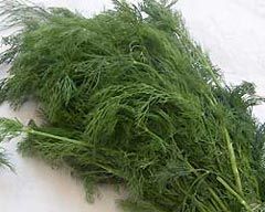 Saraçoğlun'dan Zayıflamak isteyenlere tavsiye