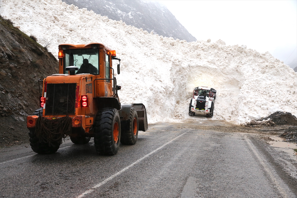 Hakkari-Çukurca kara yolu çığ nedeniyle kapandı