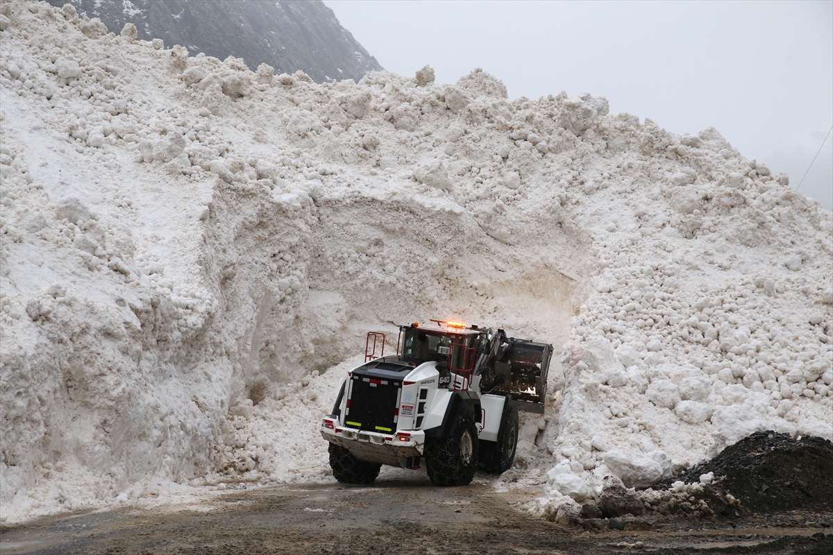 Hakkari-Çukurca kara yolu çığ nedeniyle kapandı