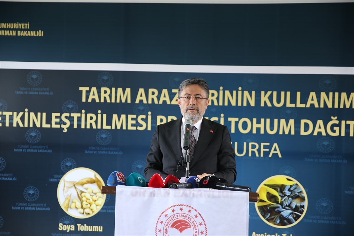 Kullandığımız tohumların yüzde 97'si bu topraklarda üretilmektedir