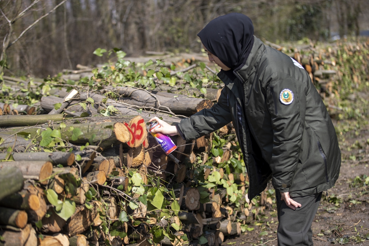 Lisede ormancılara özenen genç kadın hayalindeki mesleğin sahibi oldu